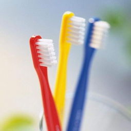 品家日用品 产品与加盟店的全面解析